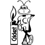 logo Cricket