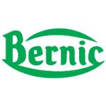 logo Bernic