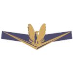 logo Bertram Yacht Eagle