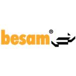 logo Besam