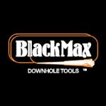logo BlackMax