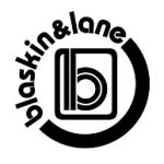 logo Blaskin 