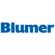 logo Blumer(313)