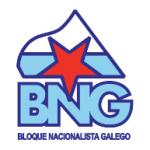 logo BNG(328)