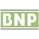 logo BNP(330)