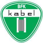 logo BFK Kabel