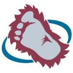 logo Colorado Avalanche(85)