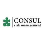logo Consul Risk Management