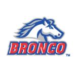 logo Bronco(252)