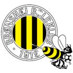 logo Bronshoj