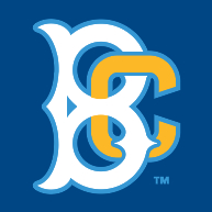 logo Brooklyn Cyclones(256)