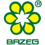 logo Brzeg