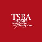 Advertisng Agency Tsba Target Solution Of Branding Area-1