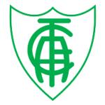 logo America Futebol Clube de Santiago-RS