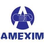 logo Amexim