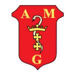 logo AMG(106)