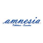 logo Amnesia