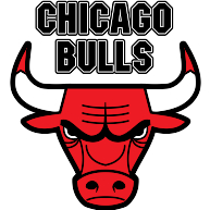 logo Chicago Bulls(300)