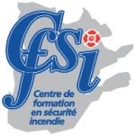 logo CFSI