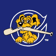 logo Charleston RiverDogs(215)