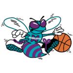 logo Charlotte Hornets