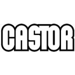 logo Castor