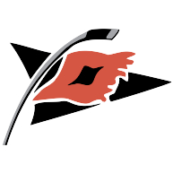 logo Carolina Hurricanes(282)