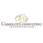 logo Camelot Consulting