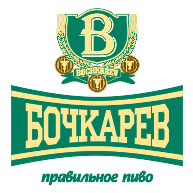 logo Bochkarev(12)