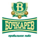 logo Bochkarev(12)