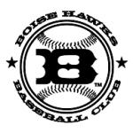 logo Boise Hawks