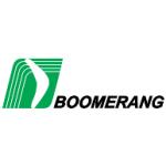 logo Boomerang