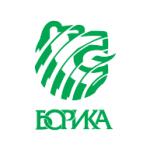 logo Borika