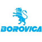 logo Borovica