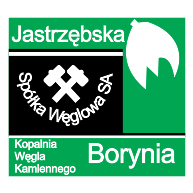 logo Borynia