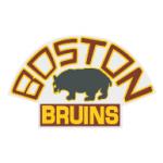 logo Boston Bruins(100)