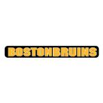 logo Boston Bruins(92)