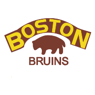 logo Boston Bruins(94)