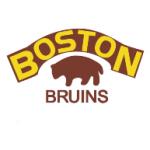 logo Boston Bruins(94)