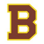 logo Boston Bruins(96)