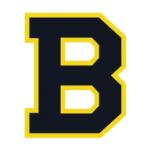 logo Boston Bruins(97)