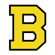 logo Boston Bruins(98)