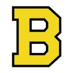 logo Boston Bruins(98)