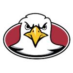 logo Boston College Eagles(110)