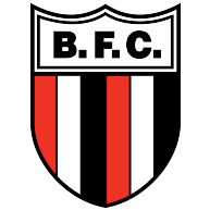 logo Botafogo(120)