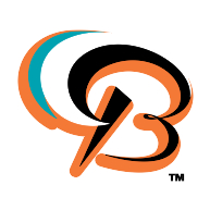 logo Bowie Baysox(134)