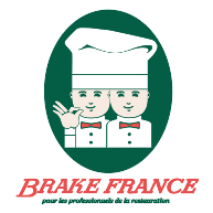 logo Brake France(166)