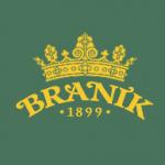 logo Branik