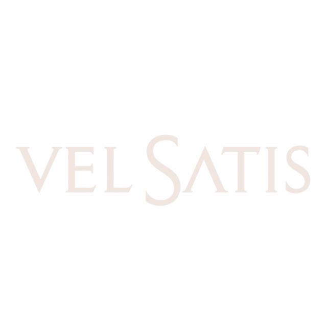 logo RENAULT Velsatis