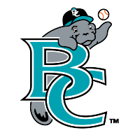 logo Brevard County Manatees(203)